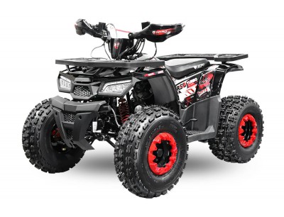 Quad bike for 12 year old new arrivals